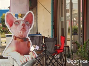 Cracy Sphynx Cafe
