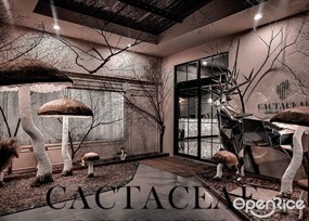 Cactaceae Cafe