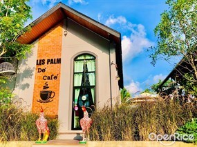 Les Palm De Cafe