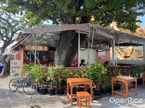 กาแฟใต้ต้นเกด