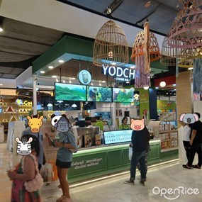 Yodcha (ยอดชา)
