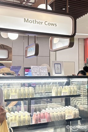 Mother Cows