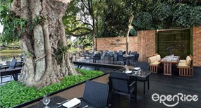 Bodhi Terrace